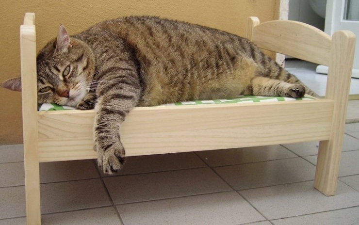 Как сделать кровать для кошки из коробки